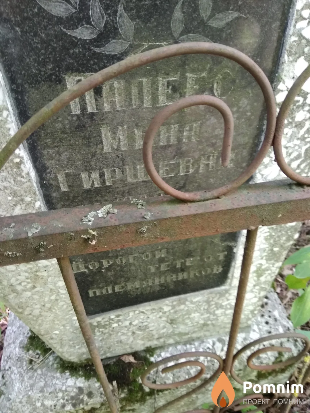 Палеес Мина Гиршевна
