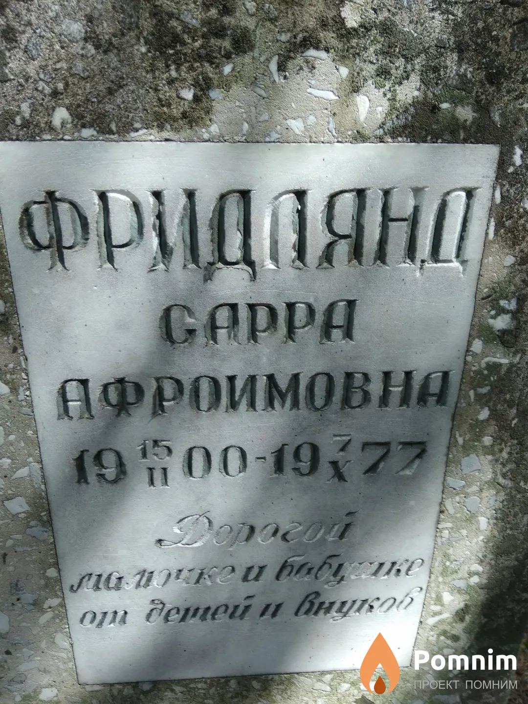 Фридлянд Сарра Афроимовна