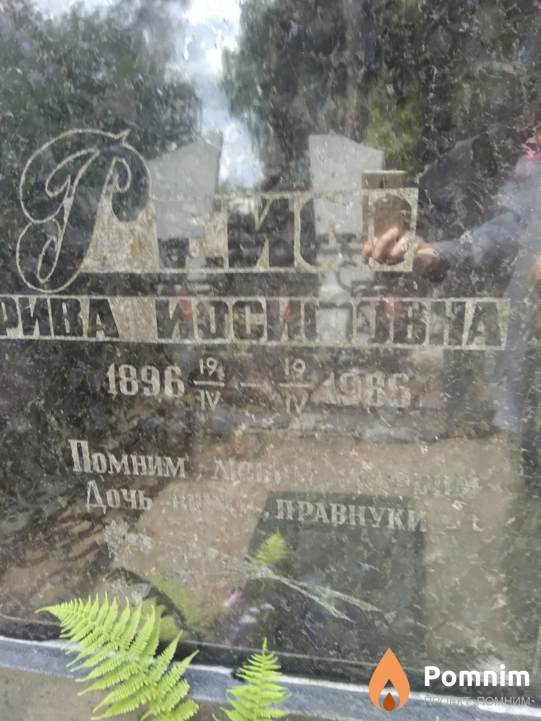 Рейф Рива Иосифовна