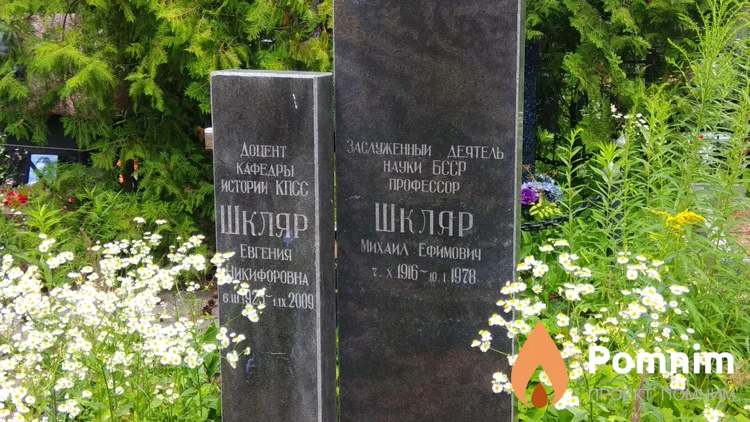 Шкляр Михаил Ефимович