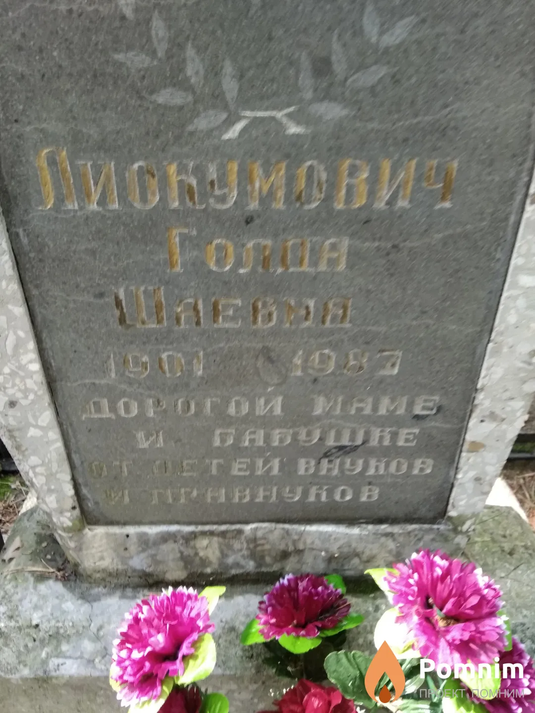 Лиокумович Голда Шаевна