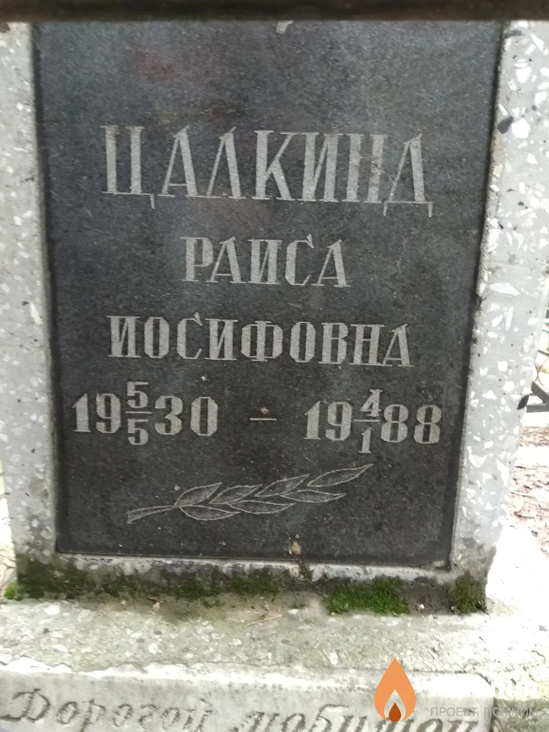 Цалкинд Раиса Иосифовна