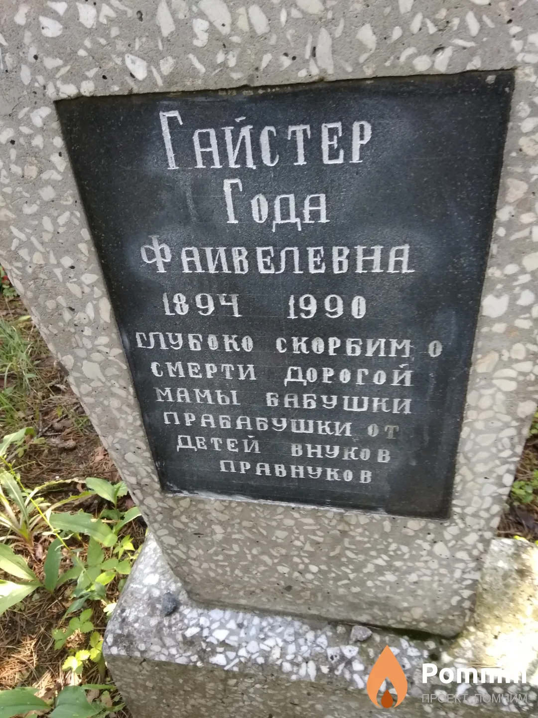 Гейстер Года Фаивелевна