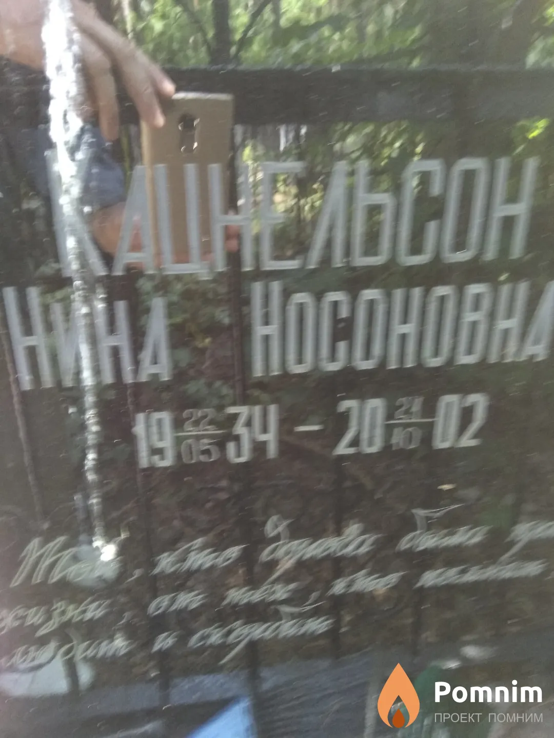 Кацнельсон Нина Носоновна