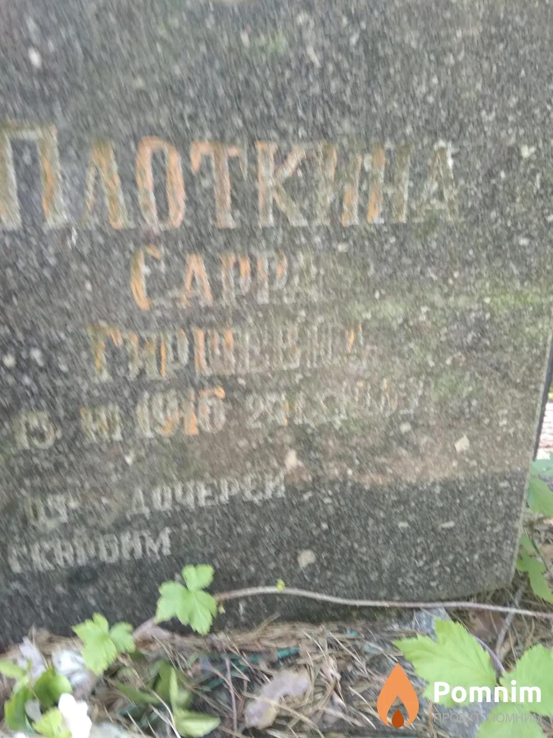 Плоткина Сарра Гиршевна