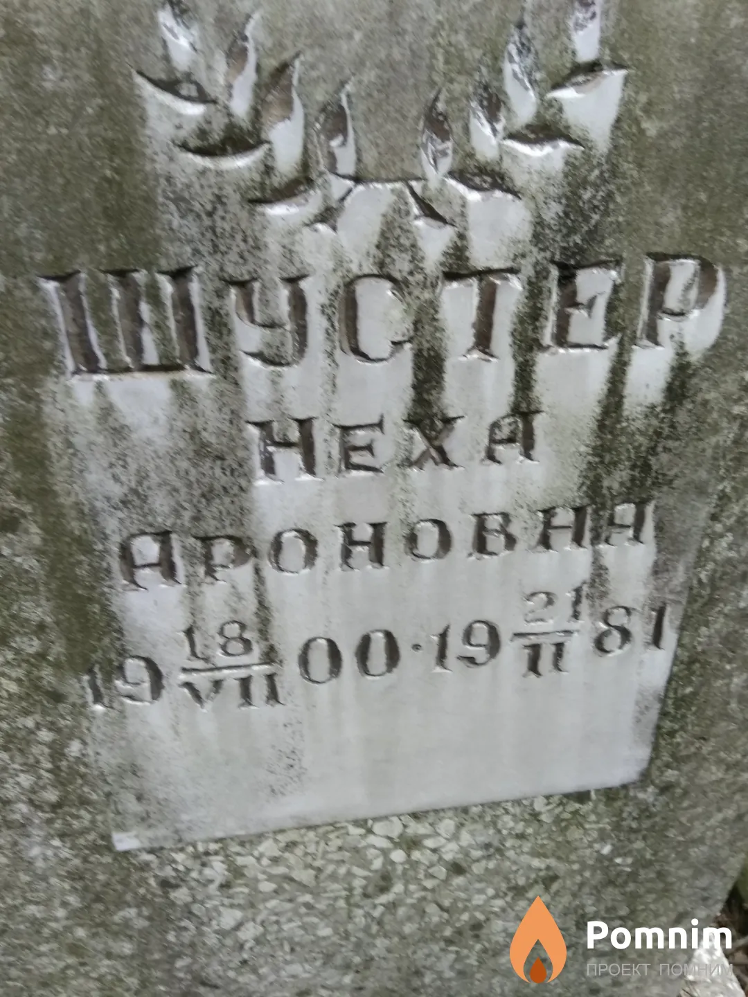Шустер Неха Ароновна