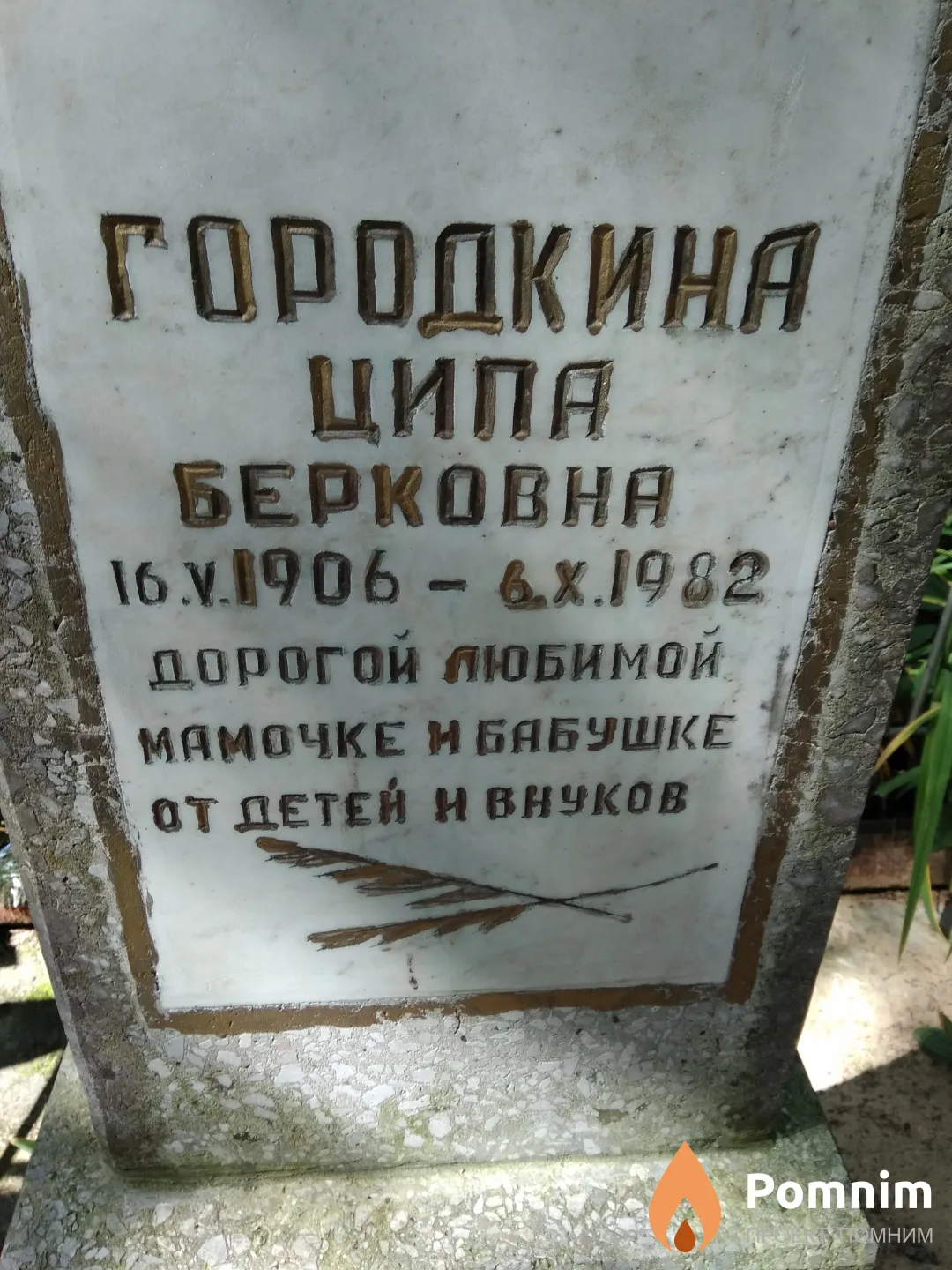 Городкина Ципа Берковна