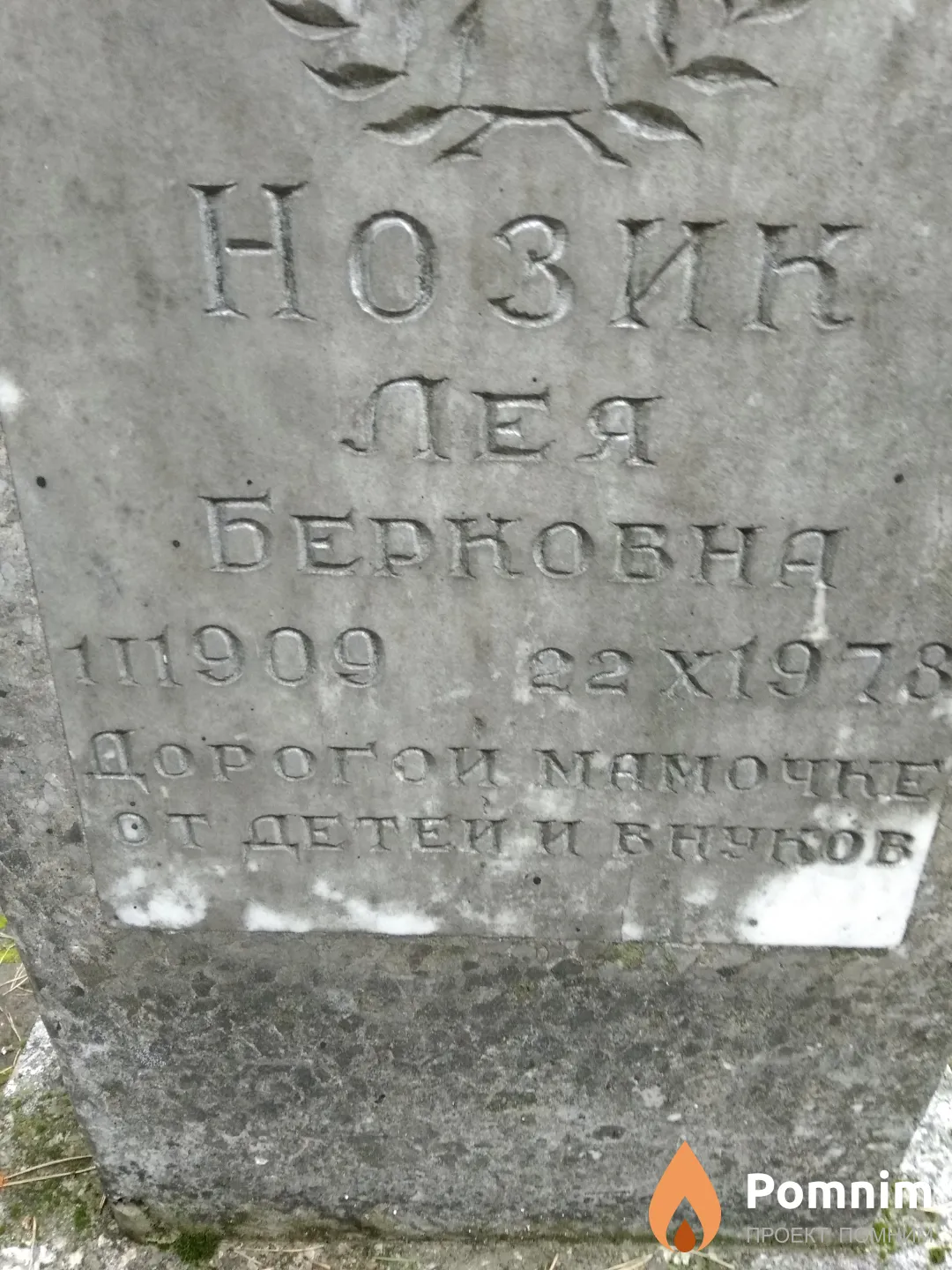 Нозик Лея Берковна