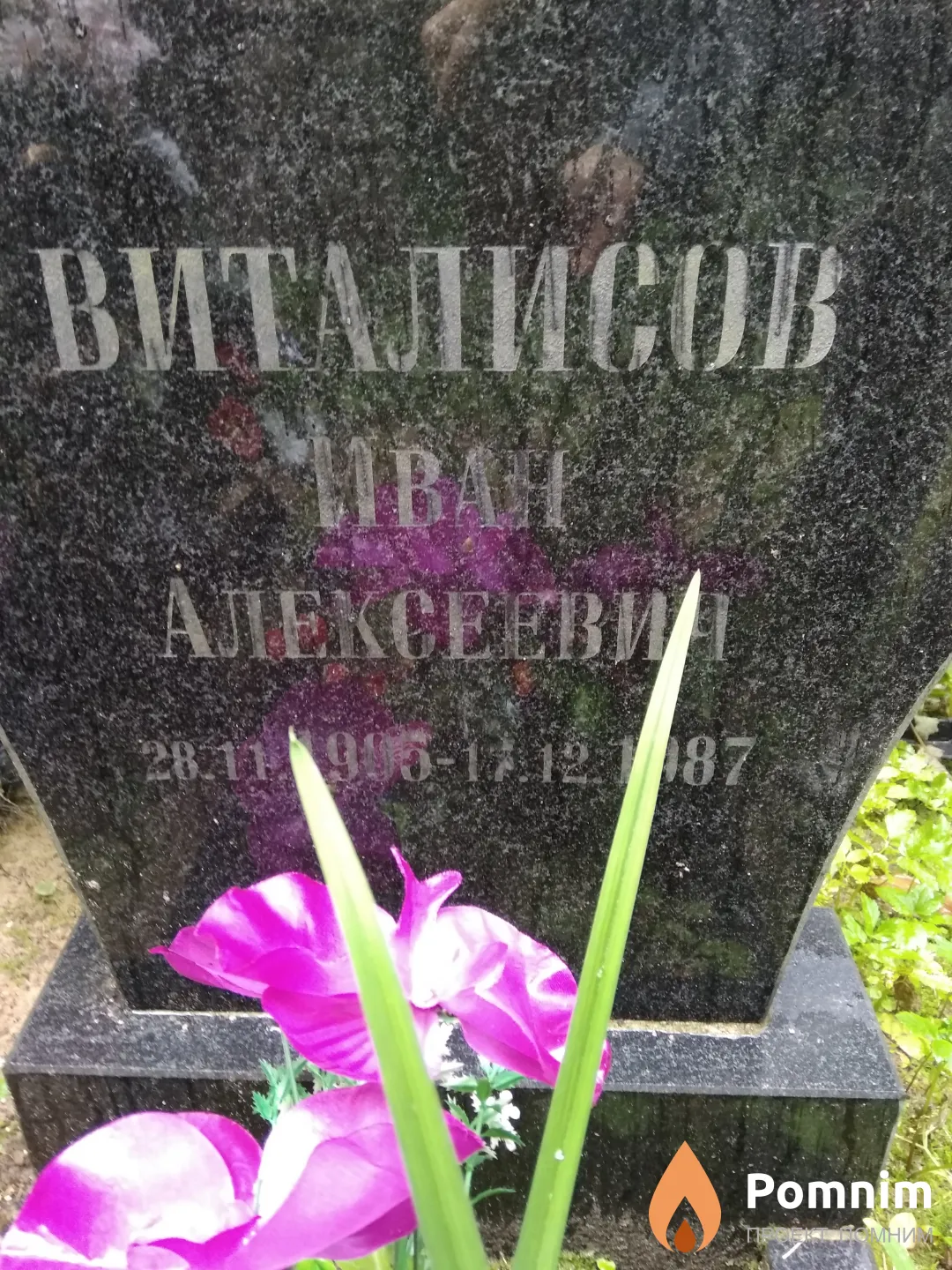 Виталисов Иван Алексеевич