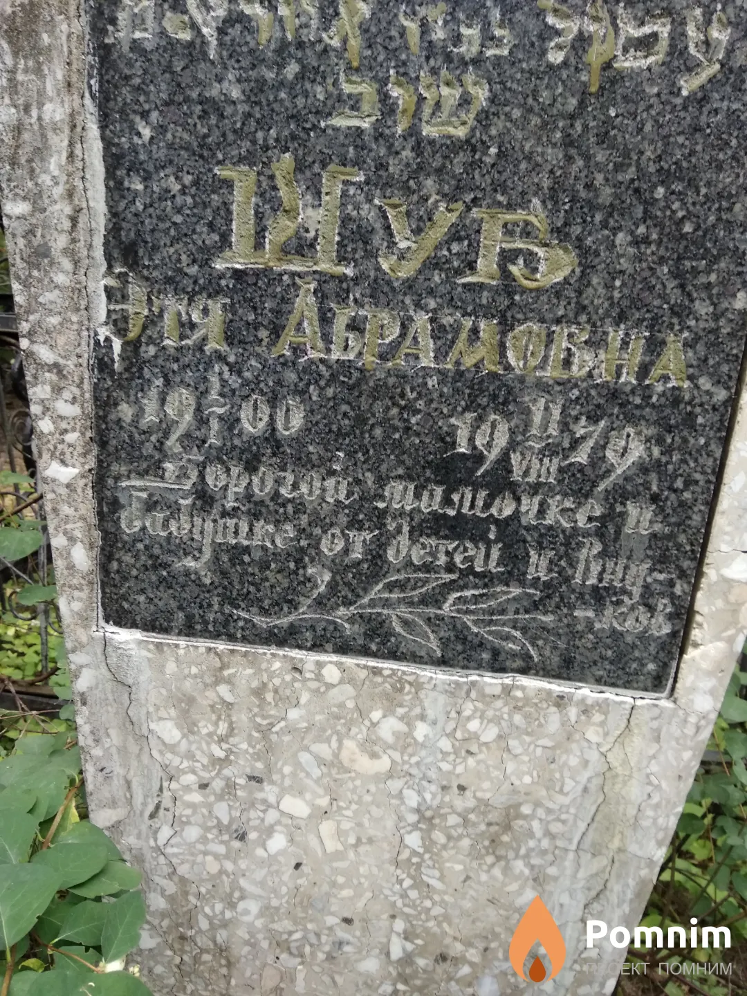 Шуб Этя Абрамовна