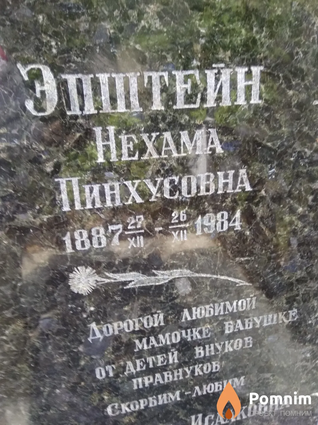 Эпштейн Нехама Пинхусовна
