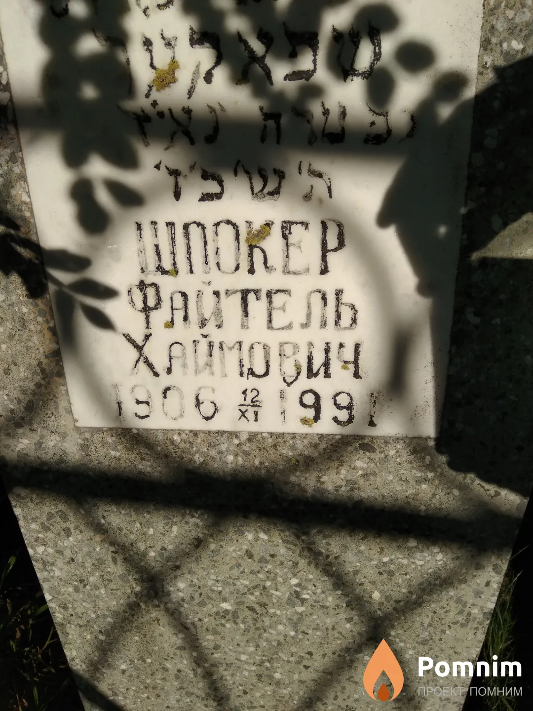 Шпокер Файтель Хаймович