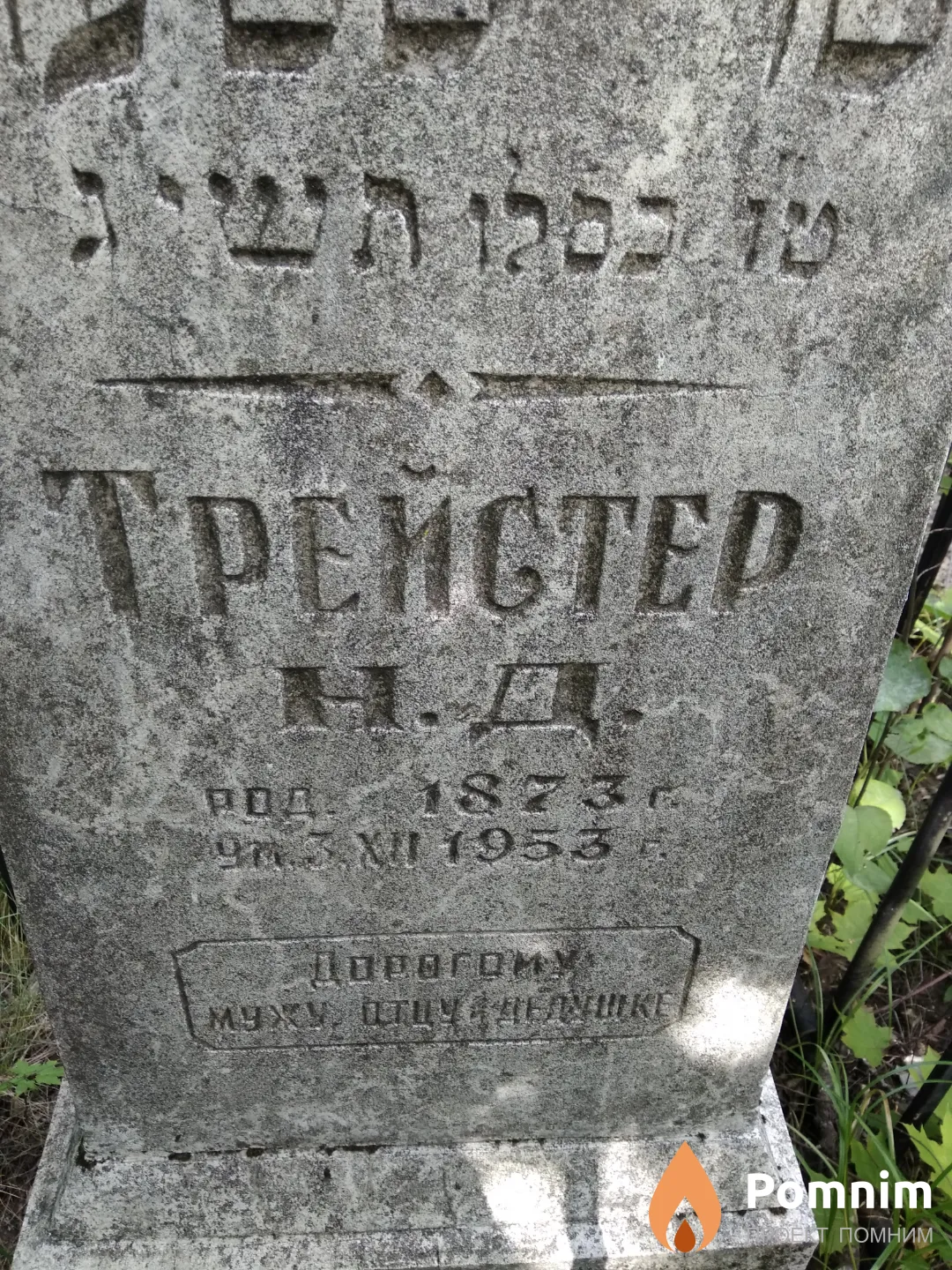Трейстер Н Д