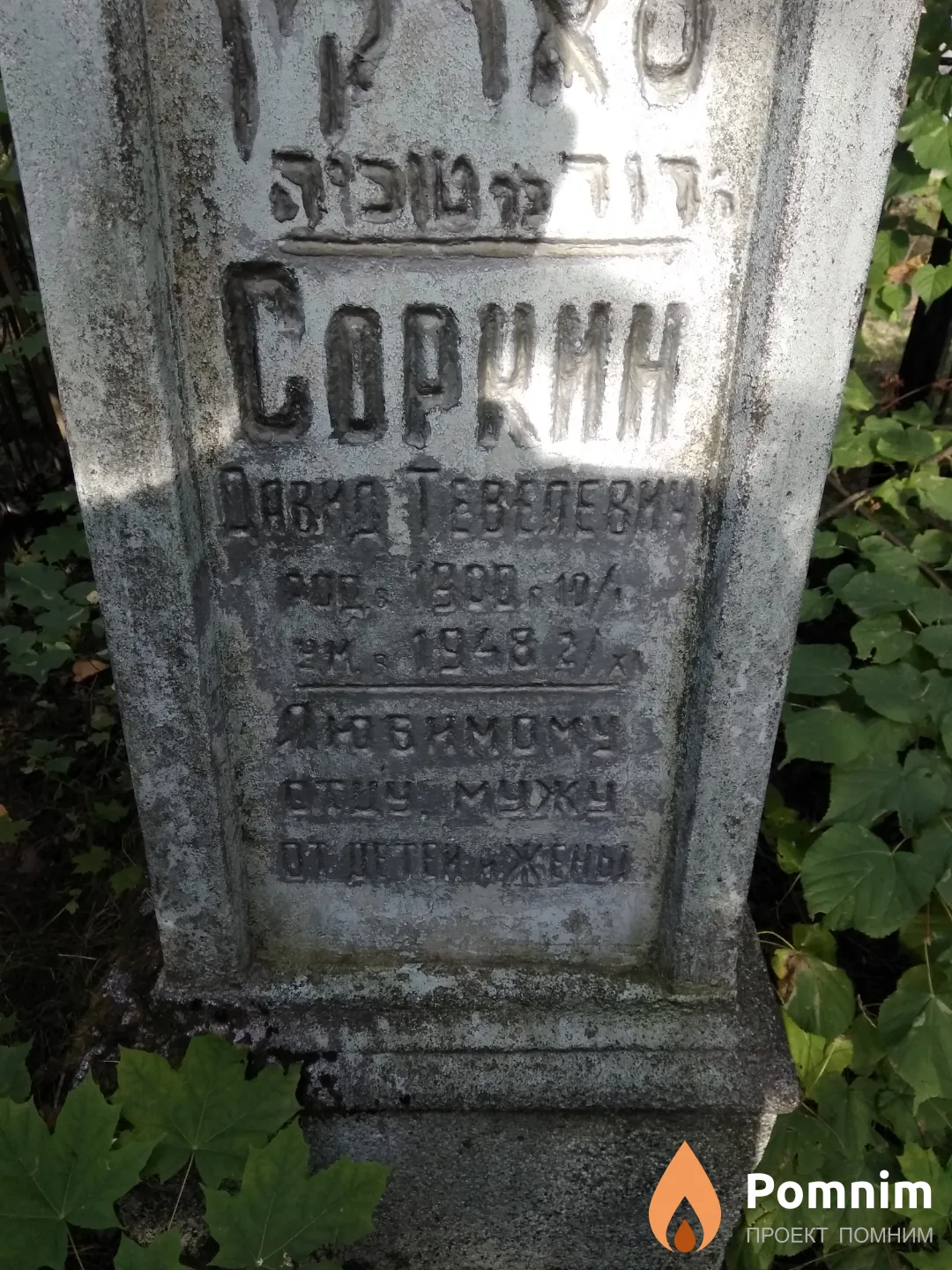 Соркин Давид Тевелевич