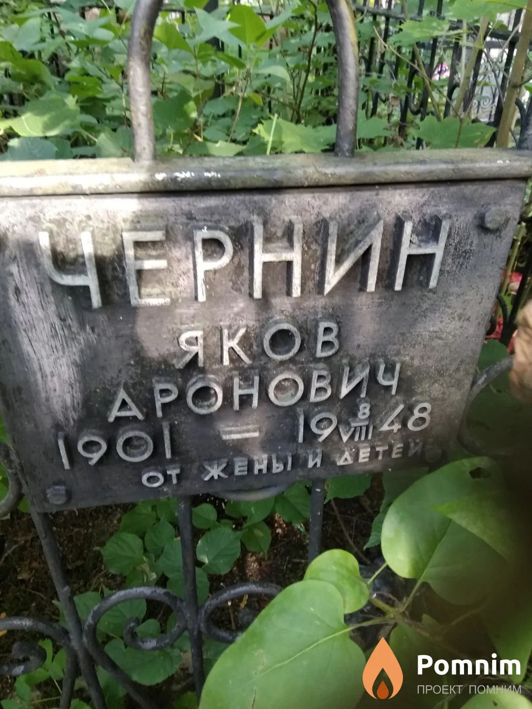 Чернин Яков Аронович