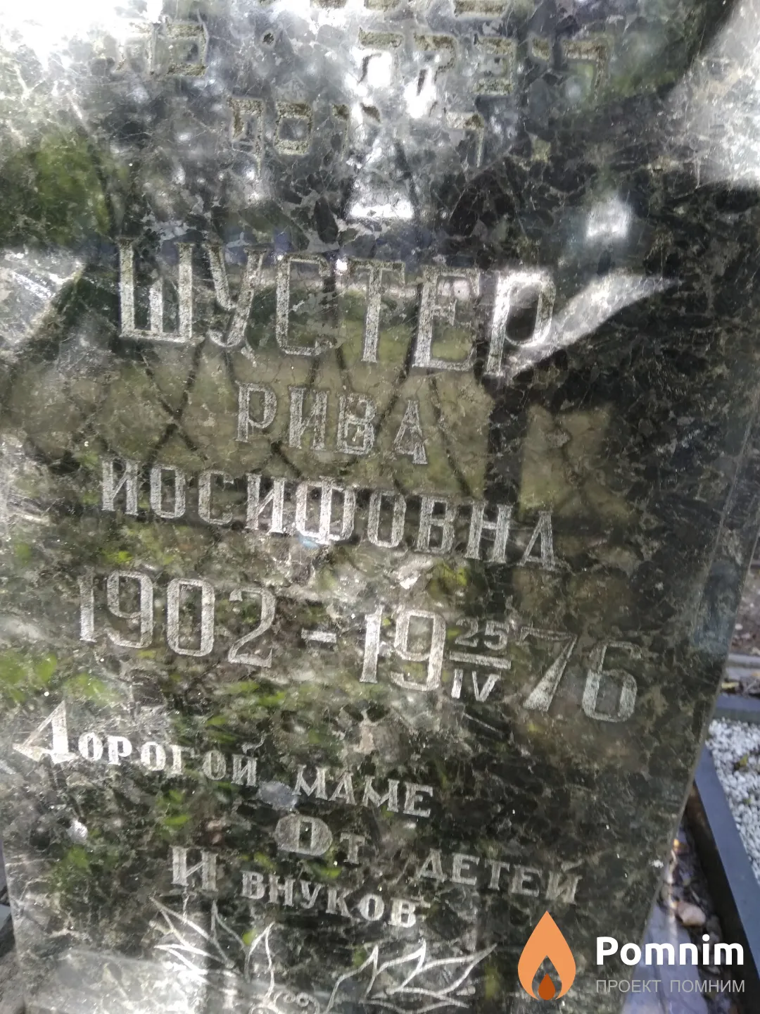 Шустер Рива Иосифовна
