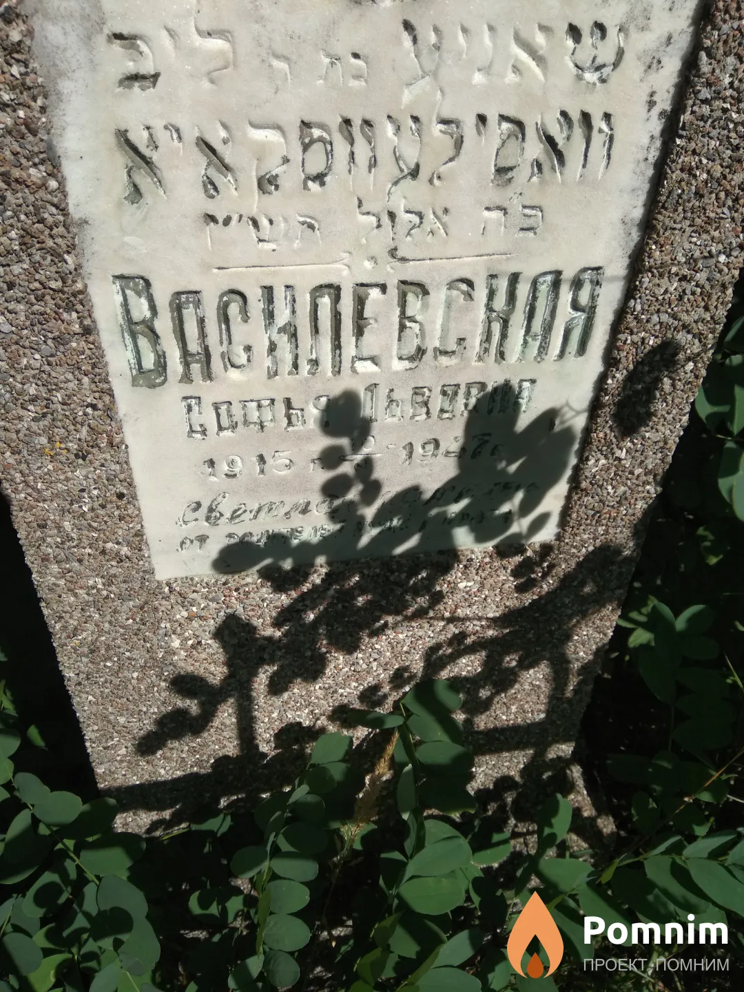 Василевская Софья Львовна
