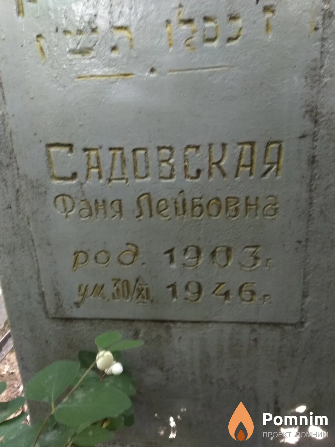 Садовская Фаня Лейбовна