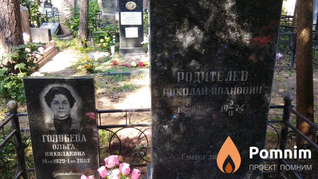 Родителев Николай Иванович