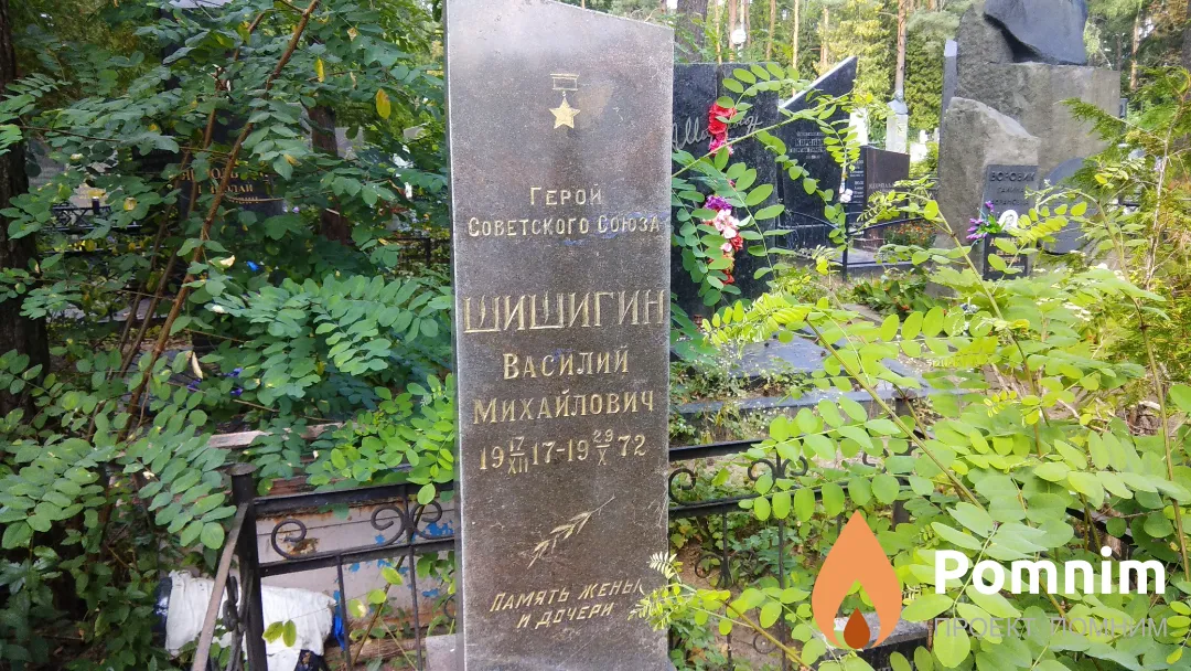 Шишигин Василий Михайлович