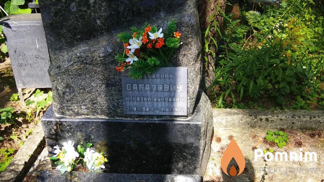 Сагалович Николай Осипович