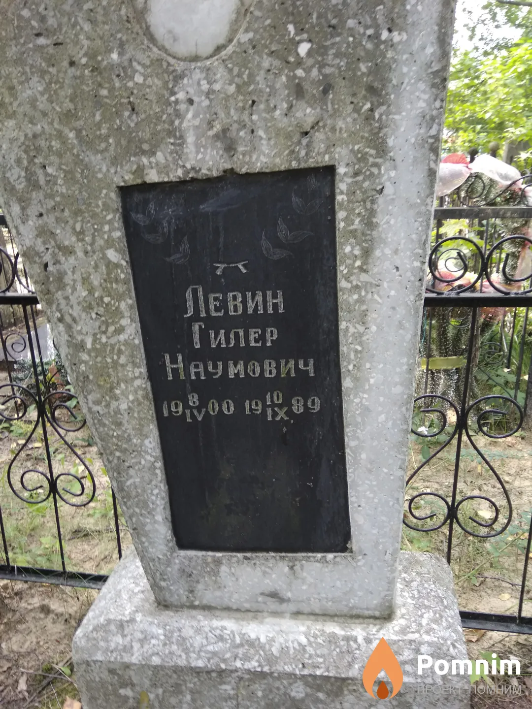 Левин Гилер Наумович