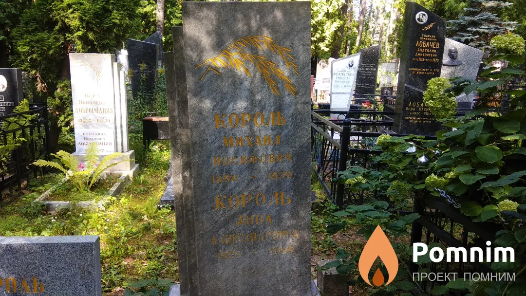 Король Михаил Иосифович