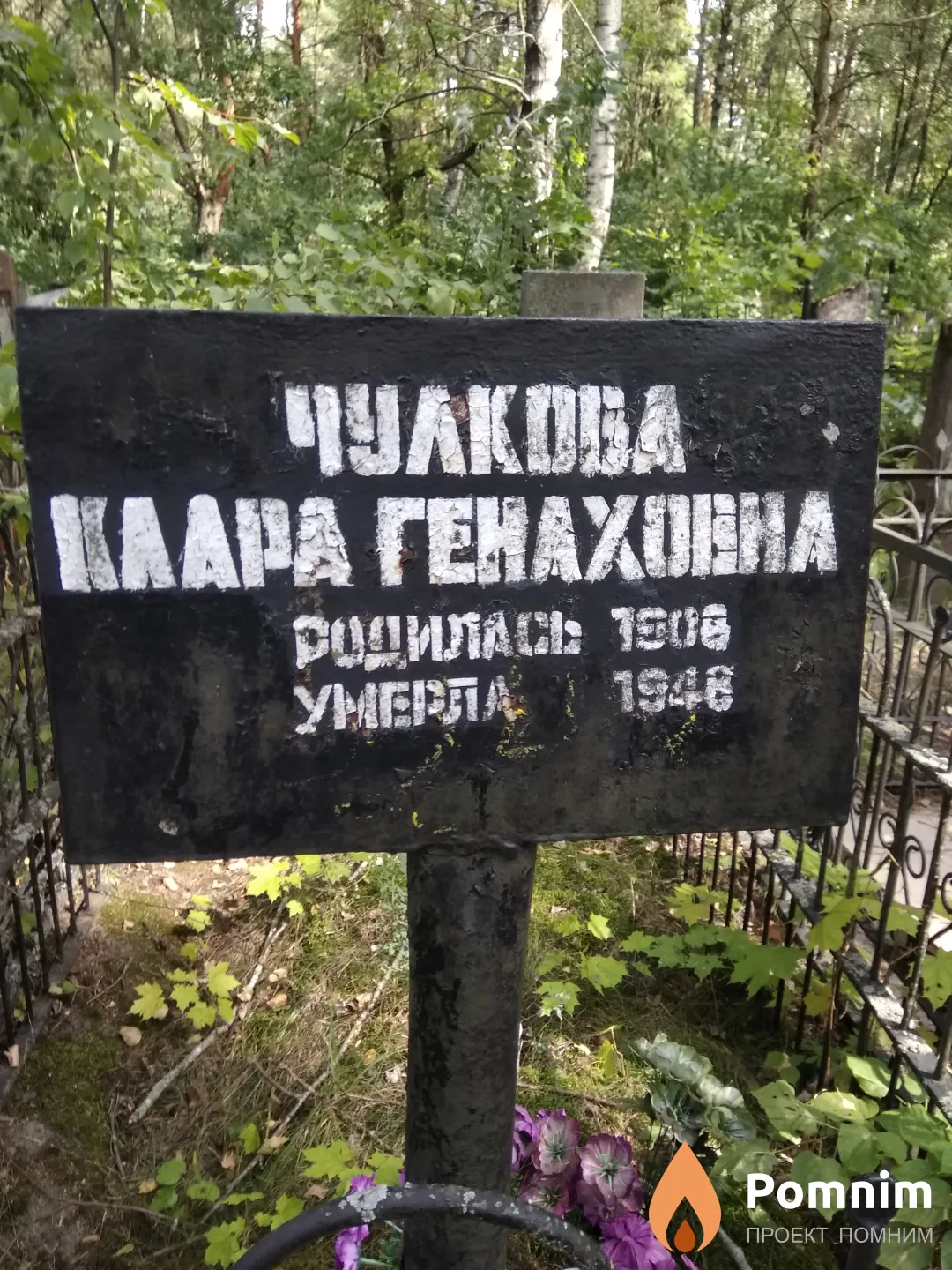 Чулкова Клара Генаховна