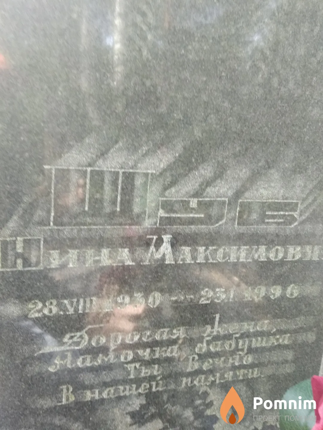 Шуб Нина Максимовна