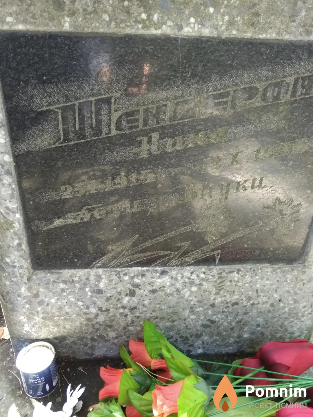 Шендерова Нина