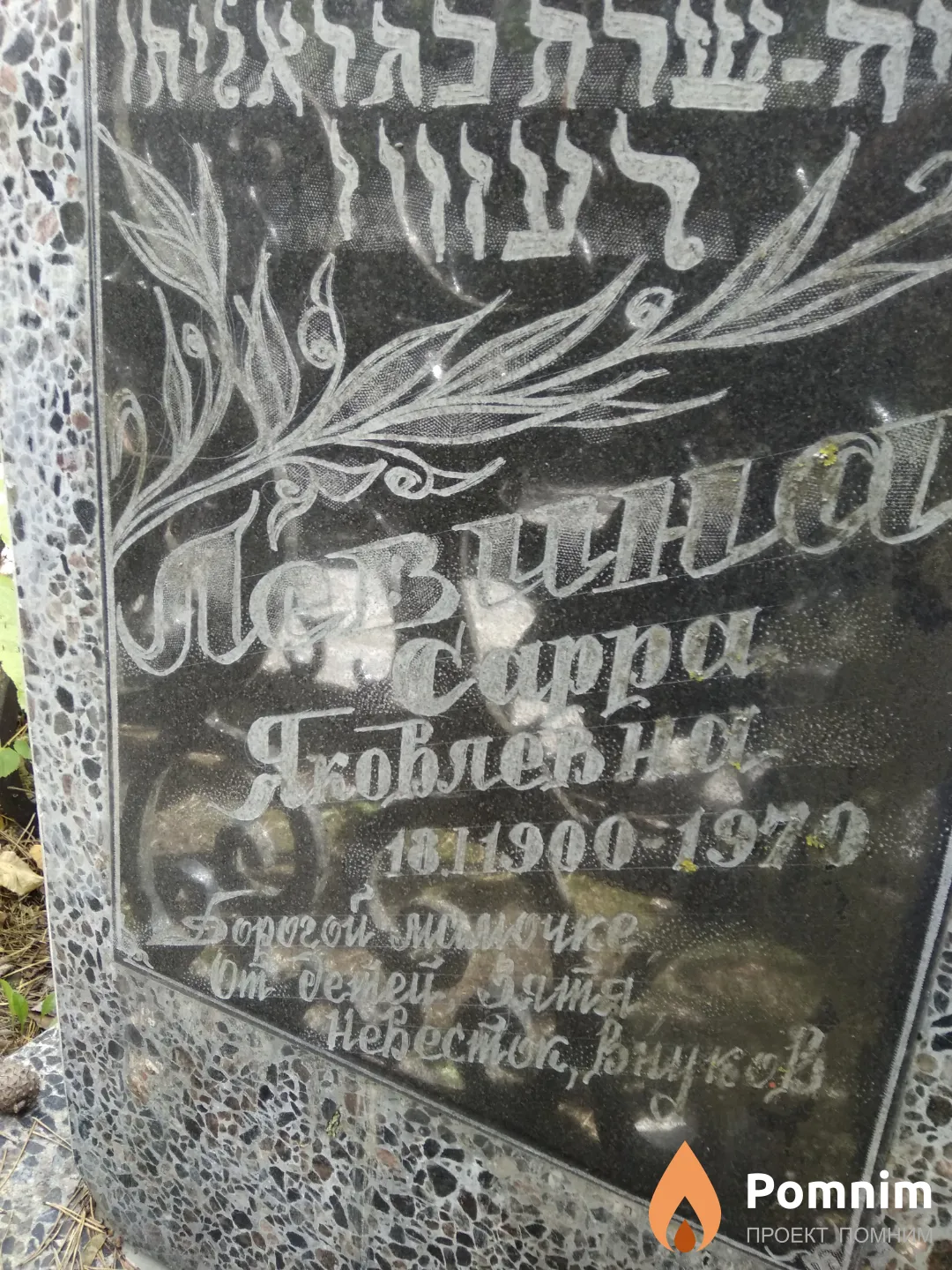 Левина Сарра Яковлевна