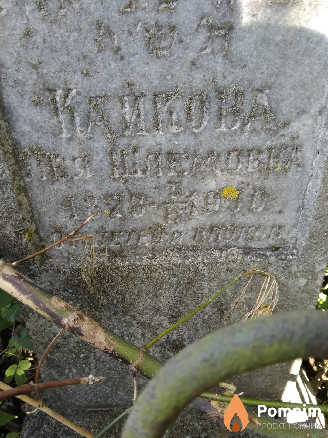 Кайкова Лея Шлемовна