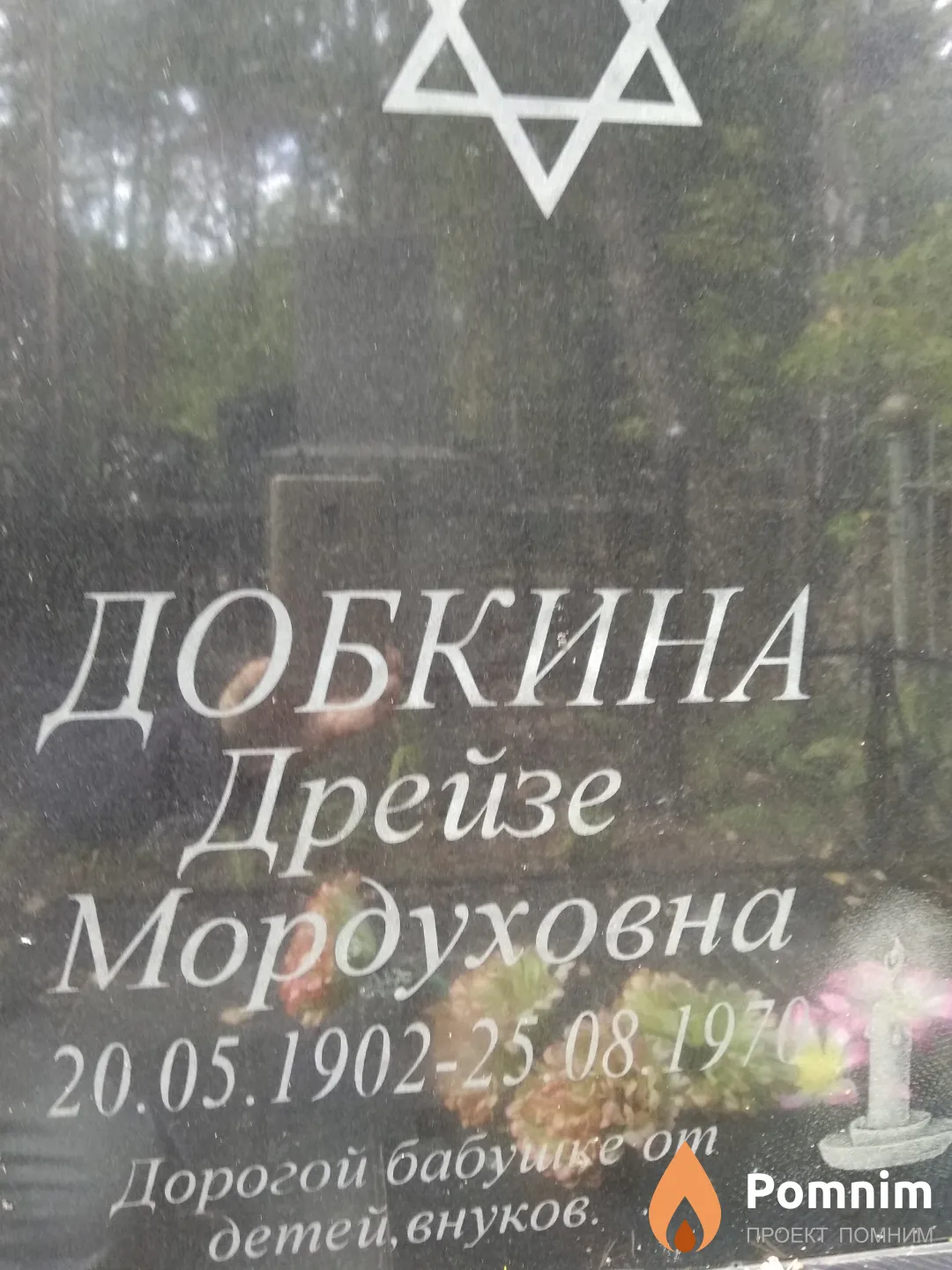 Добкина Дрейзе Мордуховна