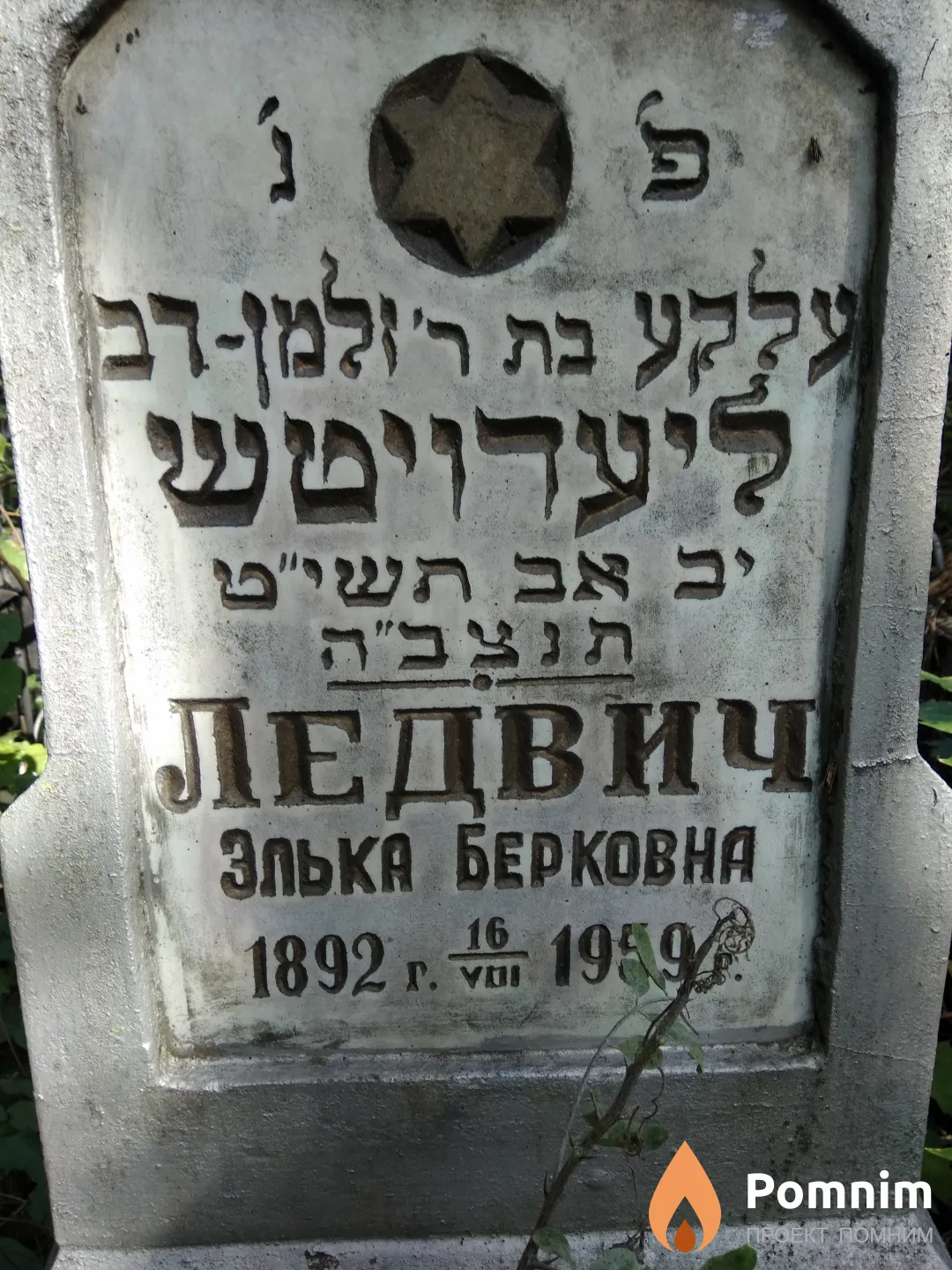 Ледвич Элька Берковна