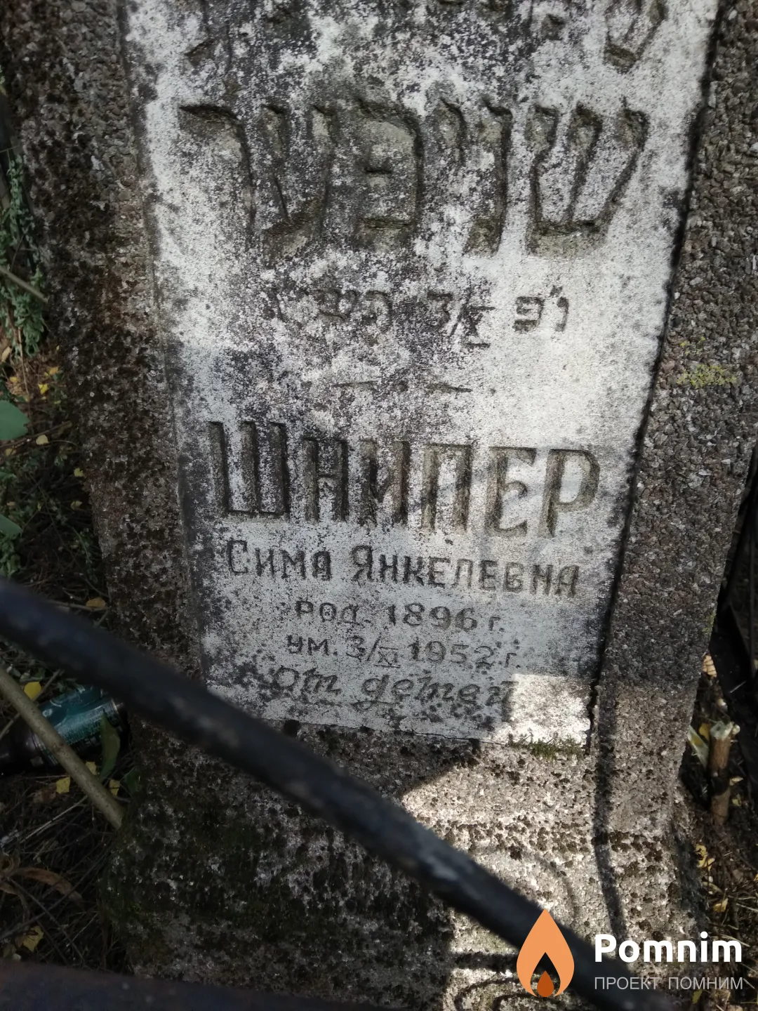 Шнипер Сима Янкелевна