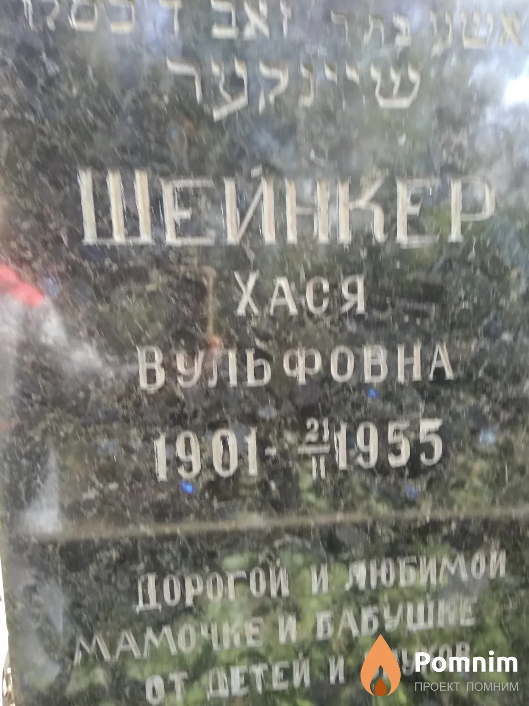 Шейнкер Хася Вульфовна