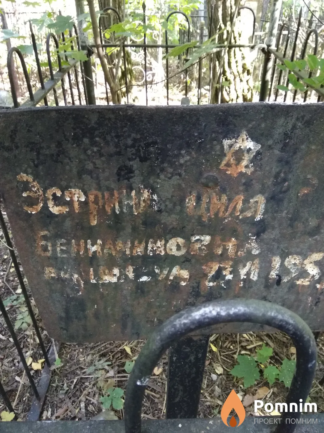 Эстрина Циля Бениаминовна