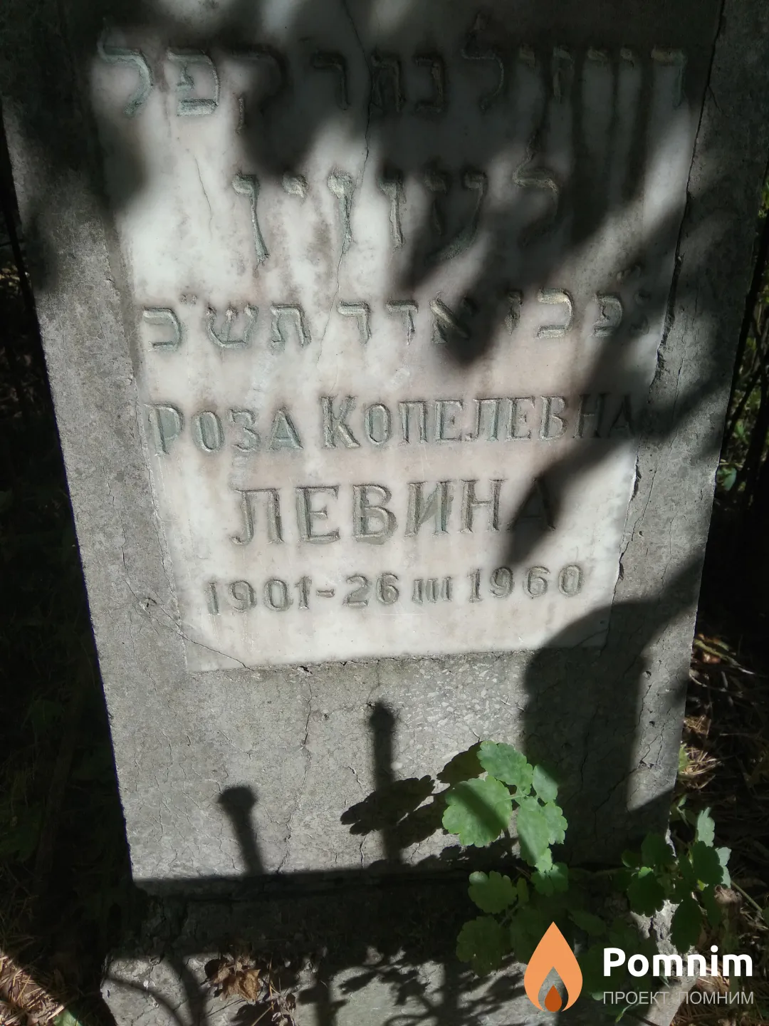 Левина Роза Копелевна