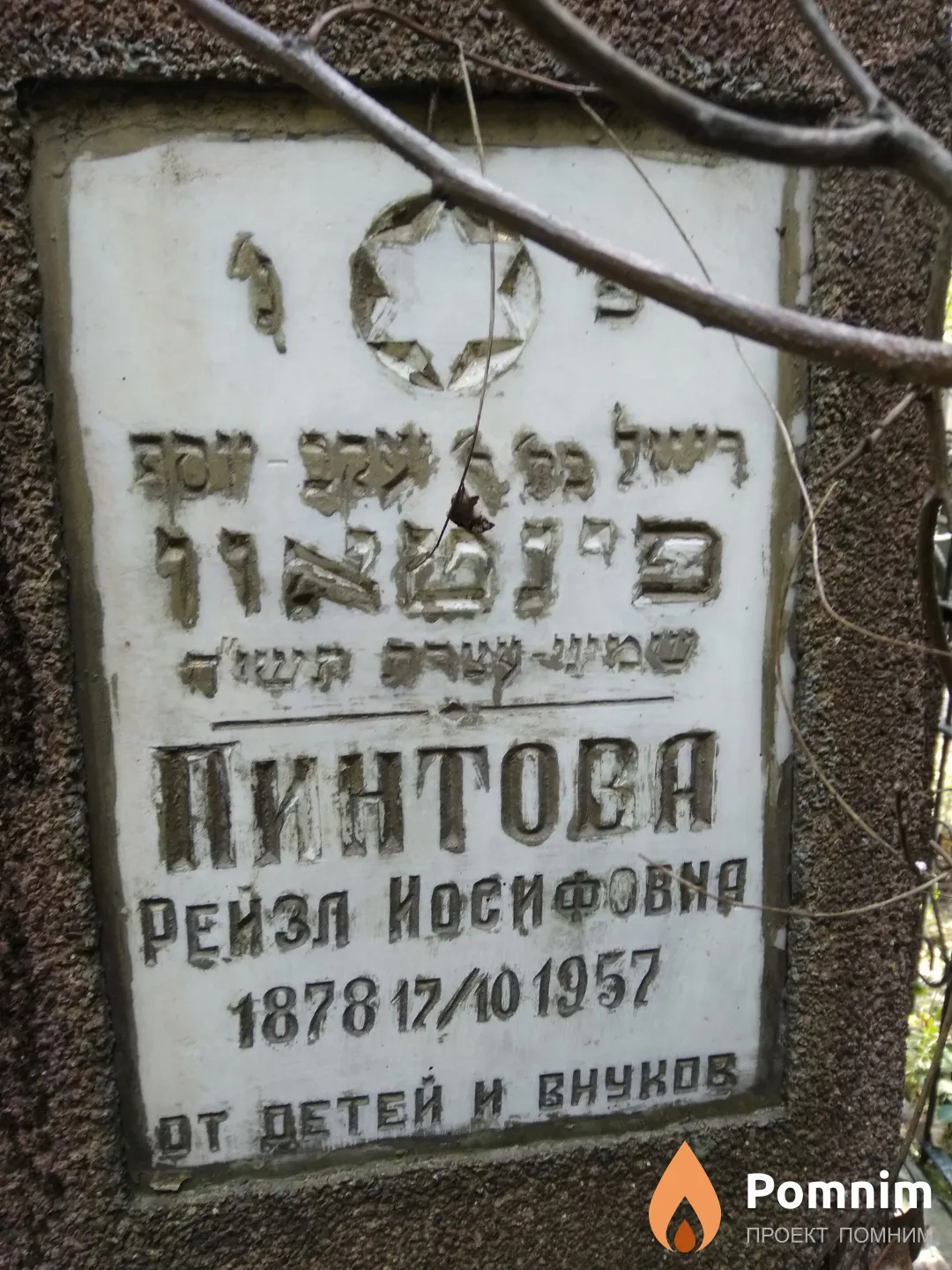 Пинтова Рейзл Иосифовна