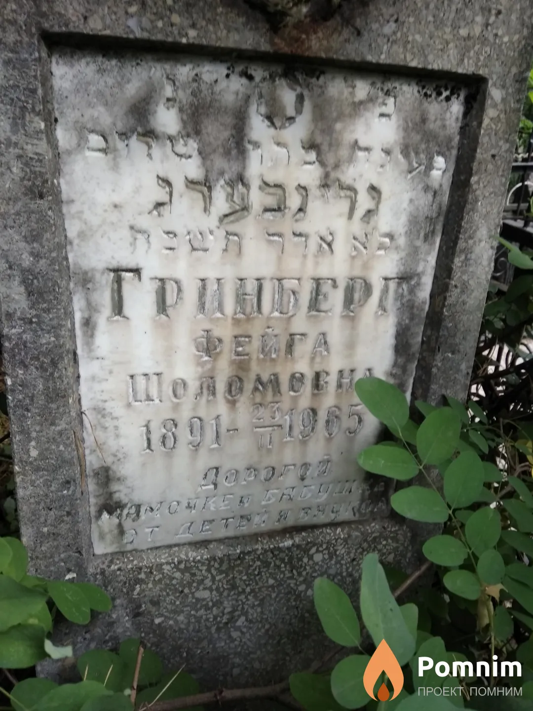 Гринберг Фейга Шоломовна