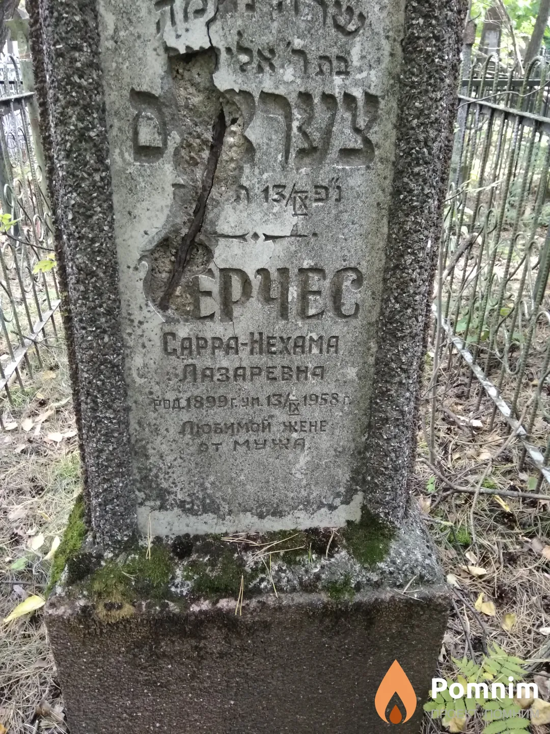 Черчес Сарра-Нехама Лазаревна