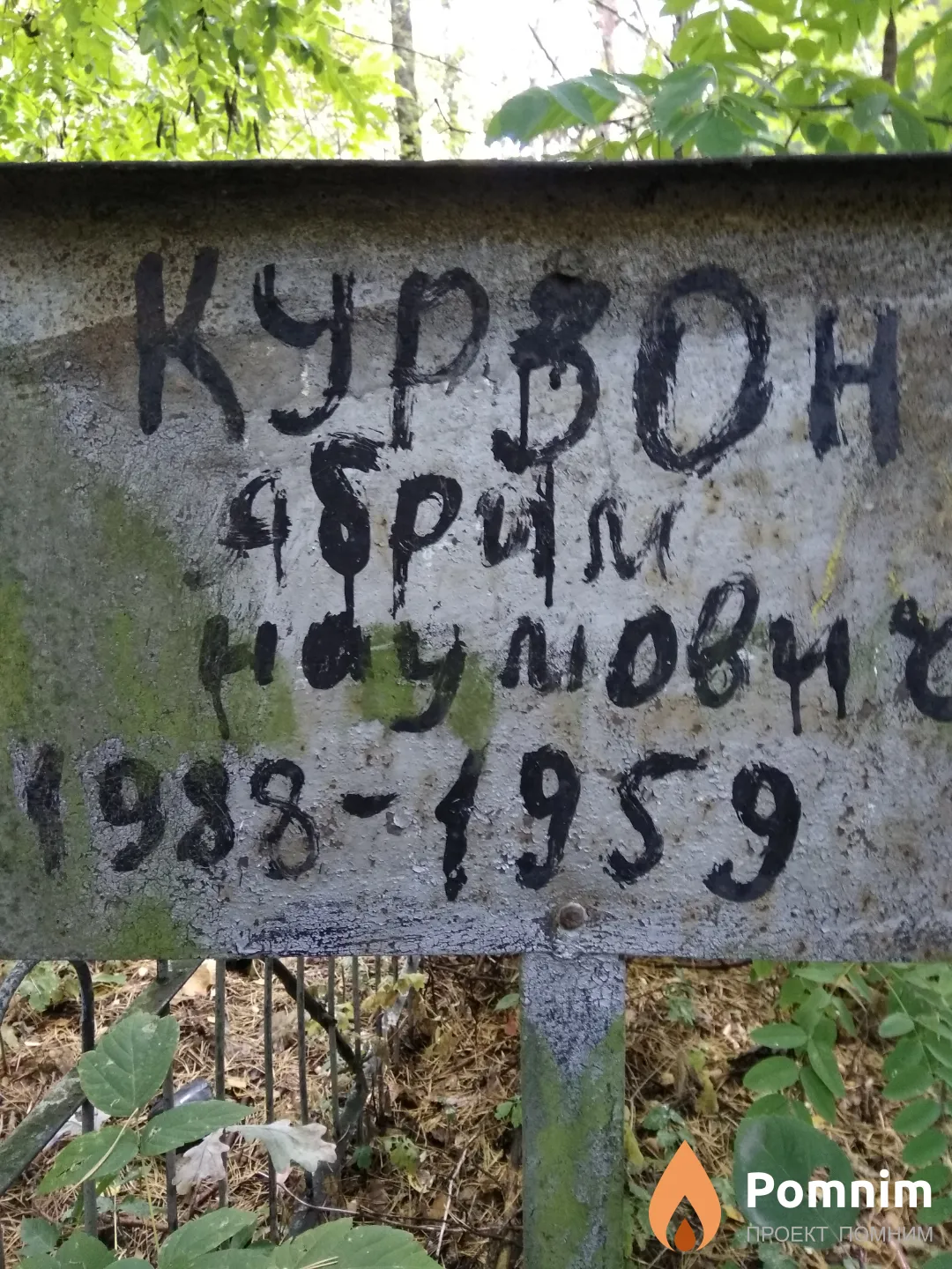Курзон Абрам Наумович