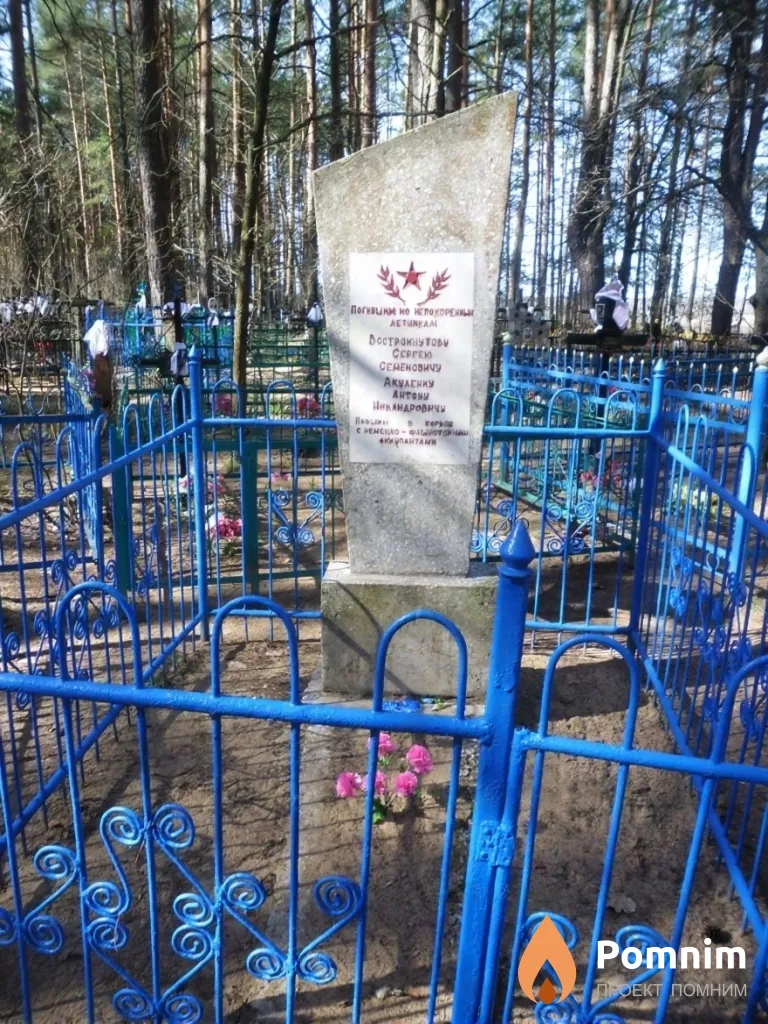 
<span>Братская могила  д. Брожа 3126</span>
