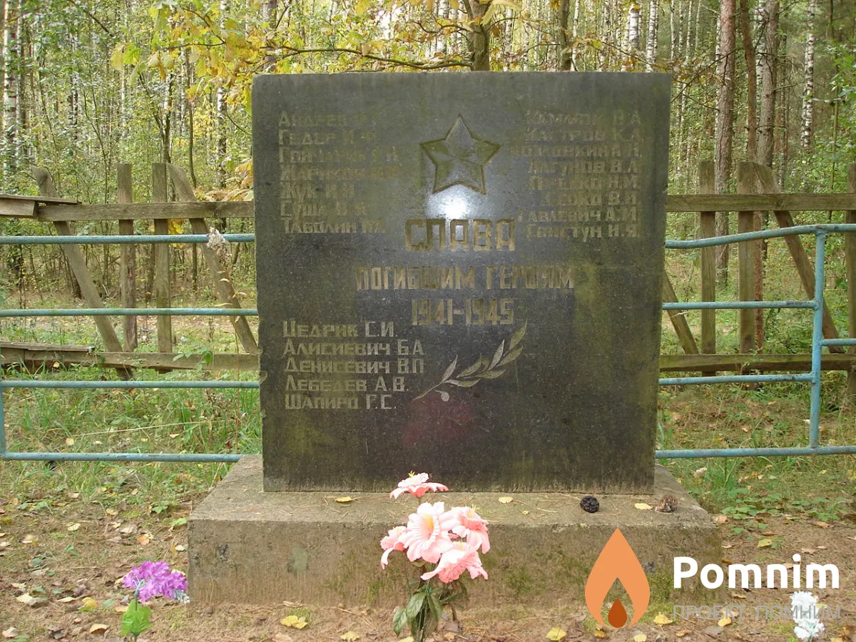 
<span>Братская  могила д. Майзорово 845</span>
