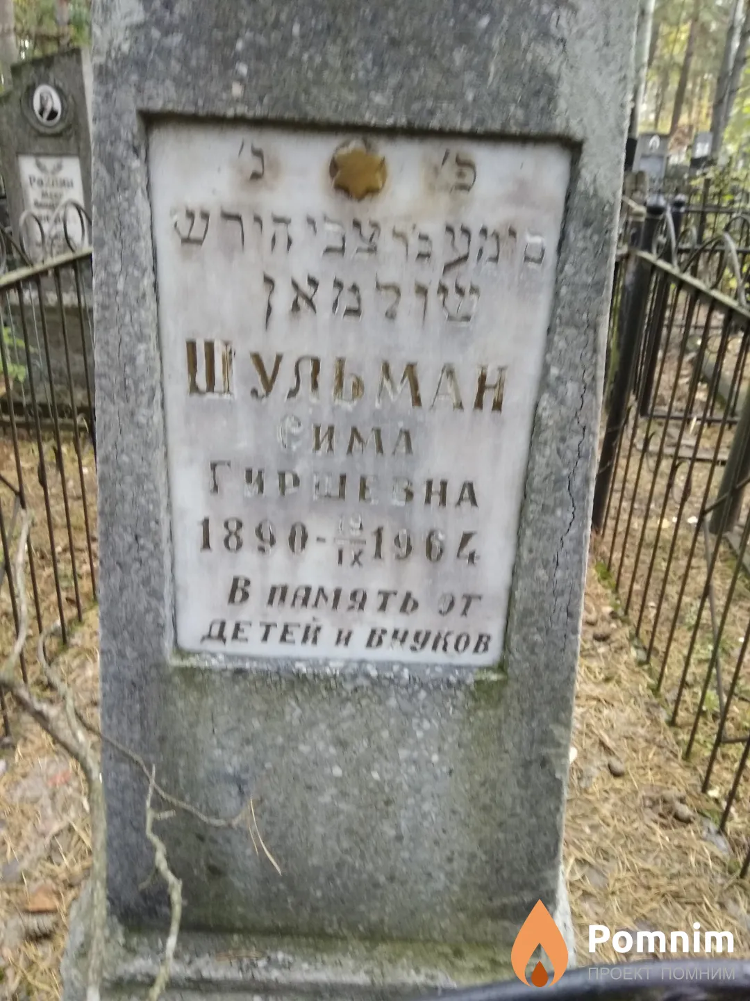 Шульман Сима Гиршевна