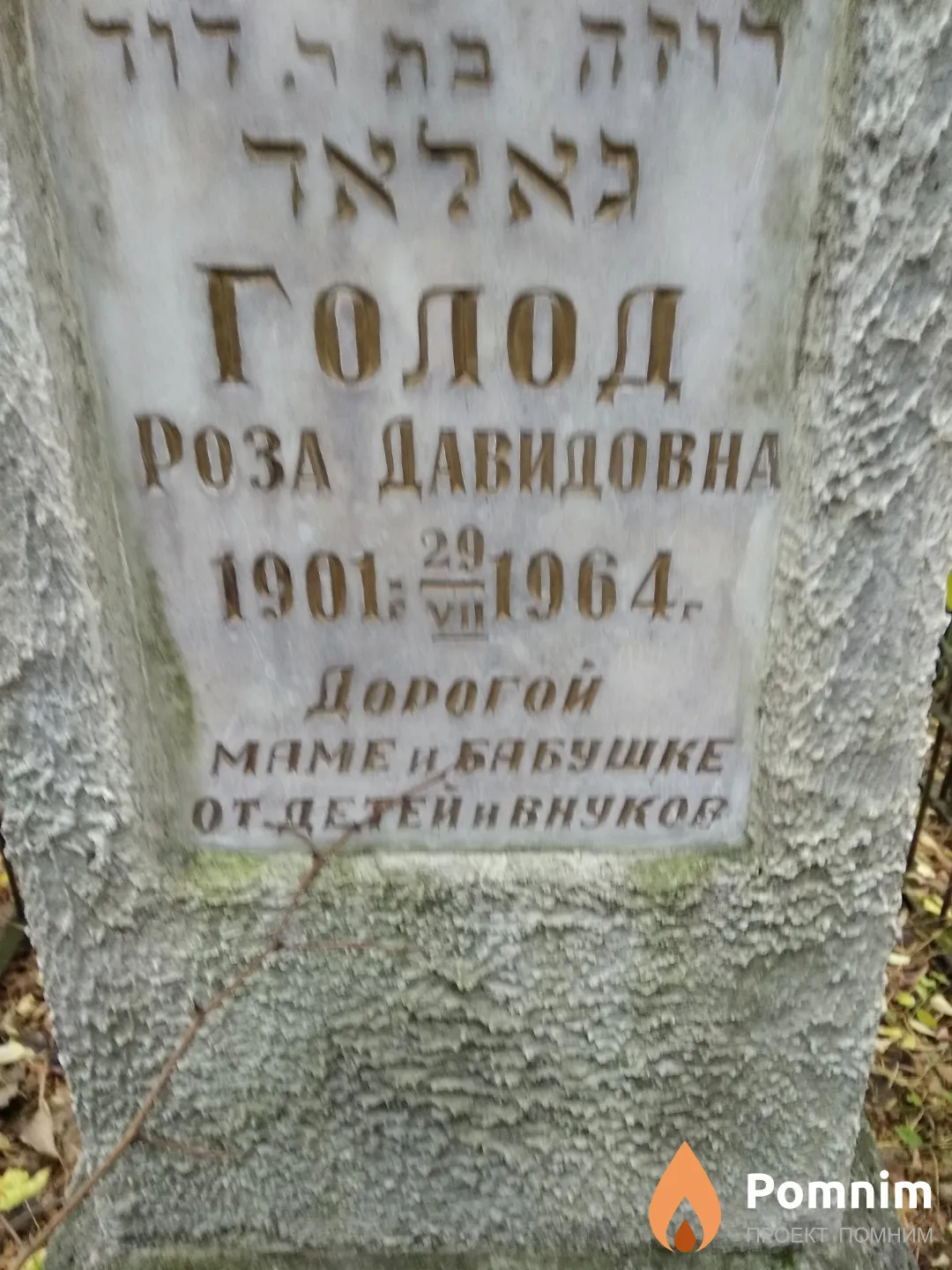 Голод Роза Давидовна