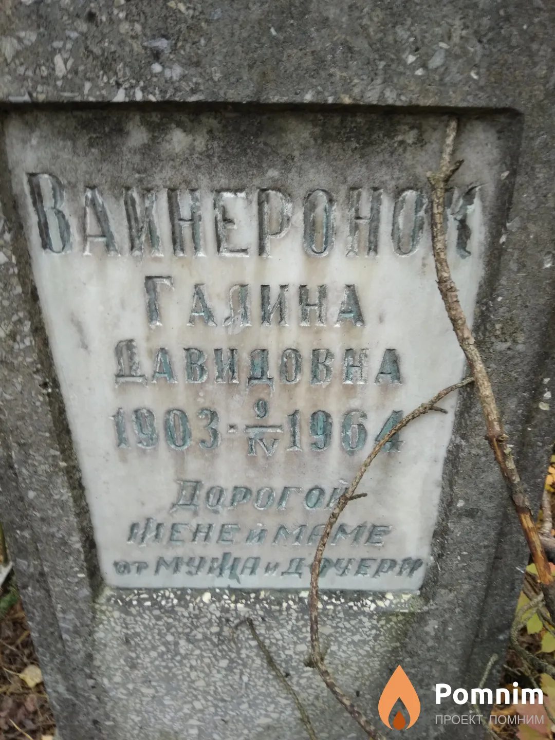 Вайнеронок Галина Давидовна