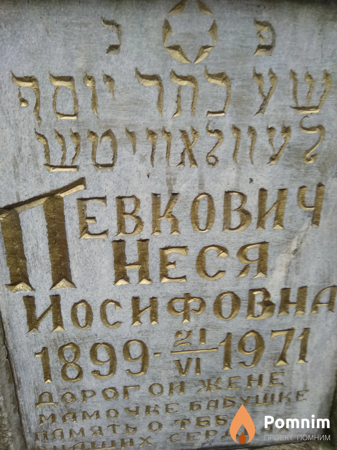 Левкович Неся Иосифовна