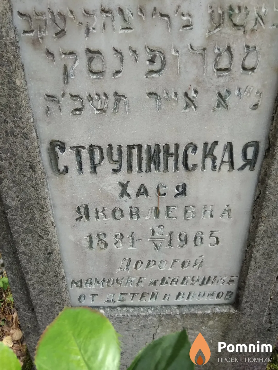 Струпинская Хася Яковлевна