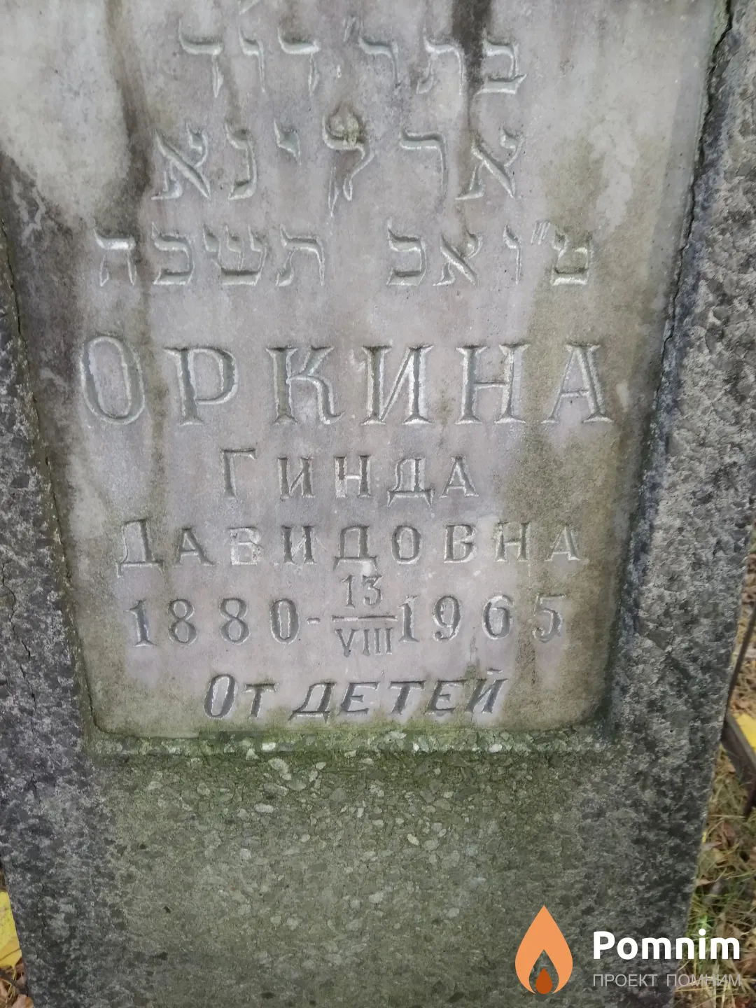 Оркина Гинда Давидовна